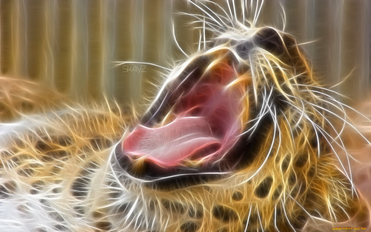 3, , animals, 